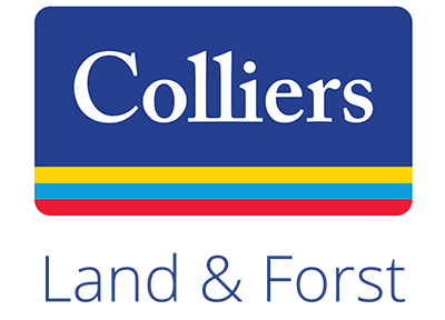 Colliers